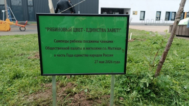 По инициативе комиссии по межнациональным отношениям Общественной палаты г. о. Мытищи прошла акция по посадке саженцев рябины под названием "Рябиновый цвет - Единства Завет"