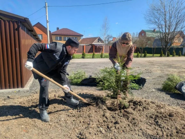 Добрая традиция: в Богородском округе общественники высадили деревья у детской площадки
