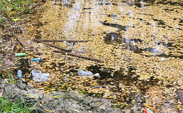 Общественная палата Московской области проверила состояние водоёмов