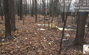 По обращениям жителей Ивантеевки территорию приведена в порядок!